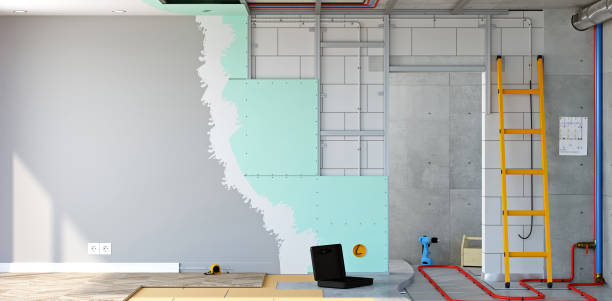 Best Black Mold Removal  in Wellington, KS